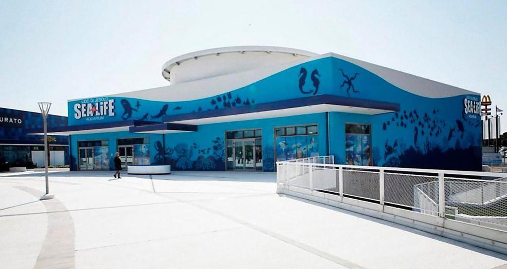 Appartamento Santin Carraro Immobiliare - Family *